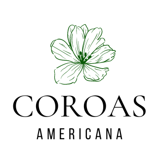 coroasamericana.com.br